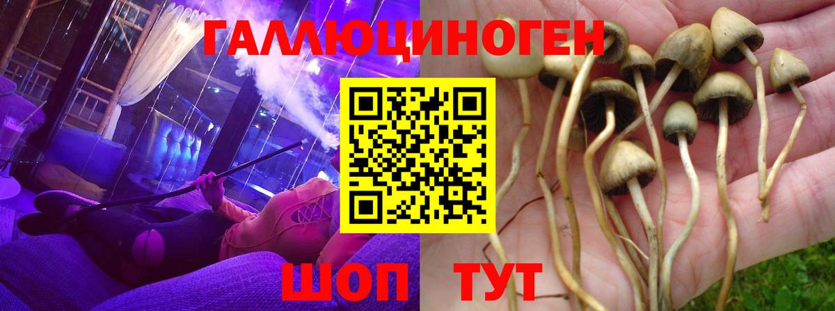 Псилоцибиновые грибы прущие грибы Гурьевск