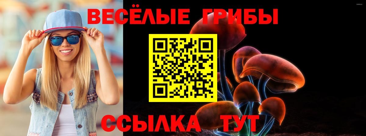 Гурьевск  Галлюциногенные грибы Cubensis  Вход с VPN 